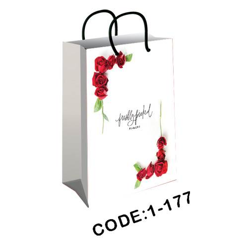 پاکت هدیه (گیفت بگ) سایز 1 کد 177