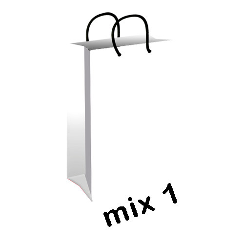 پاکت هدیه (گیفت بگ) میکس سایز 1 کد mix1
