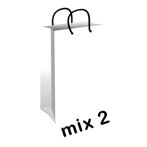 پاکت هدیه (گیفت بگ) میکس پاستیلی سایز 1 کد mix2-white