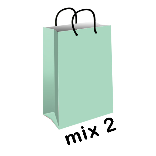 پاکت هدیه (گیفت بگ) میکس پاستیلی سایز 1 کد mix2-green