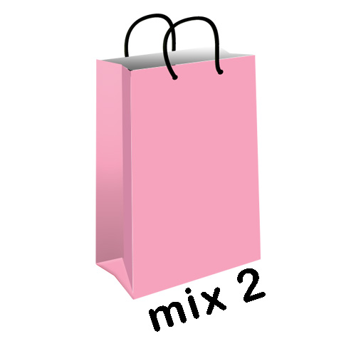 پاکت هدیه (گیفت بگ) میکس پاستیلی سایز 1 کد mix2-pink