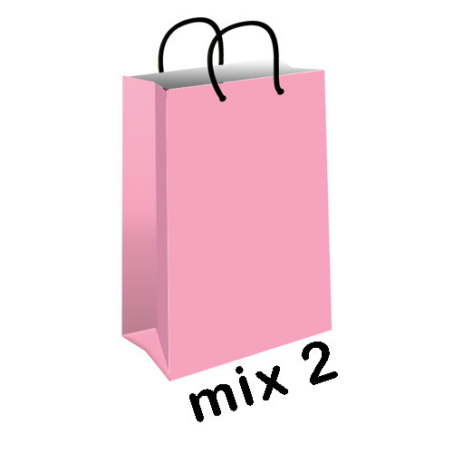 پاکت هدیه (گیفت بگ) میکس پاستیلی سایز 1 کد mix2-pink
