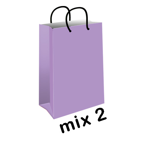 پاکت هدیه (گیفت بگ) میکس پاستیلی سایز 1 کد mix2-purple