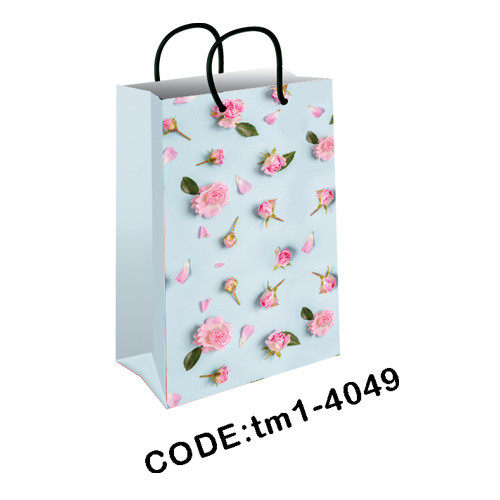 پاکت هدیه (گیفت بگ) سایز 1 کد tm1-4049